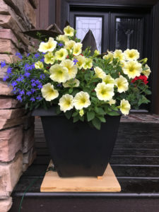 Potted plant platform for small pots