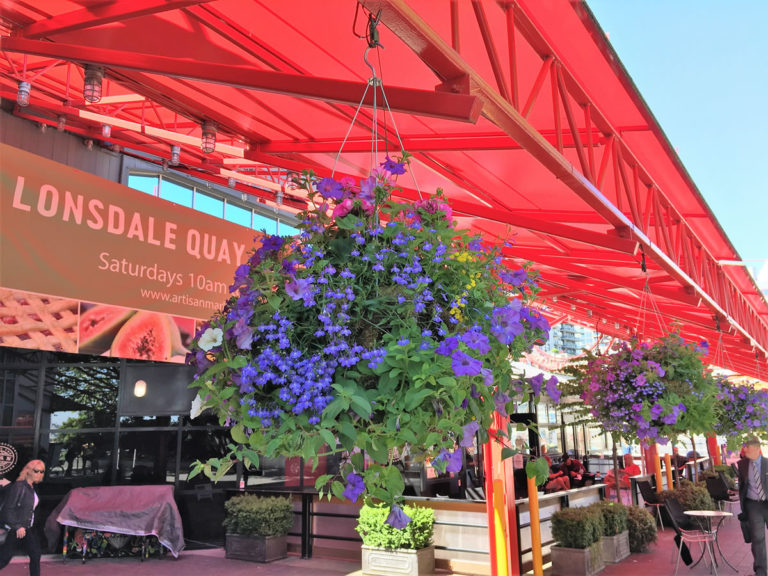 Commercial Hanging Basket Installations Plant Booster